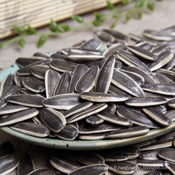 Tournesol de Mongolie intérieure Vente chaude de graines de tournesol sans OGM